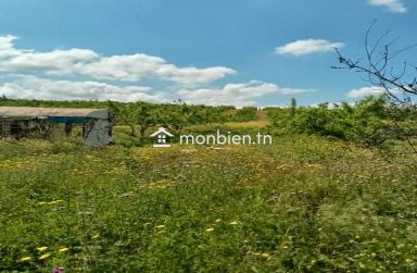 🌿 Ferme à vendre – 8,5 hectares