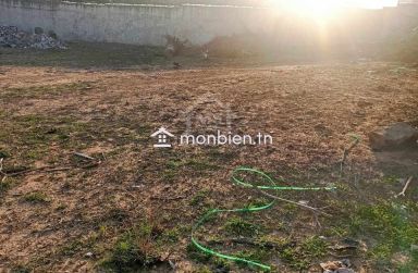 Superbe terrain de 650 m² à Hammamet Nord à vendre 51355351