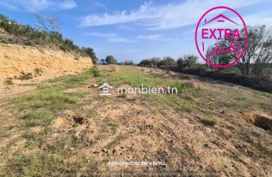 Vente Campagne à Ghardeya (Nabeul)