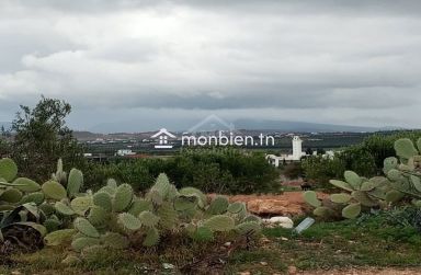 Terrain de 2700 m² à Hammamet Sud à vendre à 200 MD 51355351
