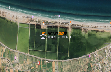 Terrain à vendre proche de la plage à baghdedi mahdia