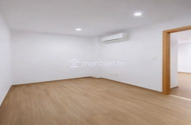 locaux à usage professionnel