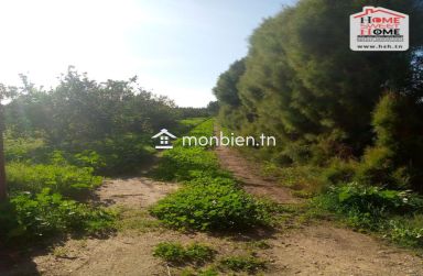 Terrain Agricole Sérénité à Vendre à Menzel Bouzelfa