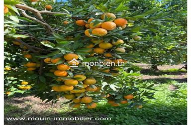 Ferme Beni Khaled 2 T1225 Nabeul