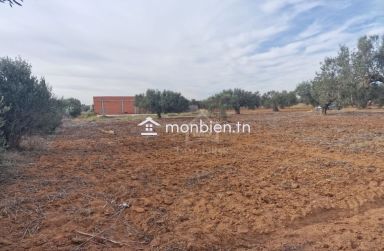Terrain de 1000 m² à Hammamet Sud à vendre à 230 MD 51355351