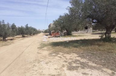 Terrain de 150 m² à vendre à Hammamet Sud 51355351