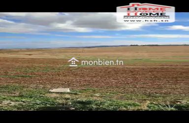 Terrain Agricole Haiza à Vendre à Kef