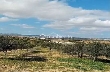Terrain de 400 m² avec vue de mer à Hammamet Sud à vendre 51355351