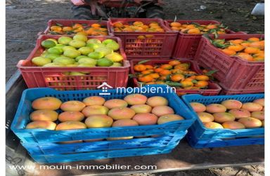 Ferme Beni Khaled 2 T1225 Nabeul