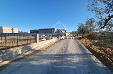 Terrain clôturé de 1269 m² à Hammamet Sud à vendre 51355351