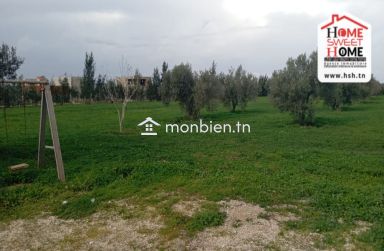 Terrain Habitation Orélia à Vendre à Borj Touil