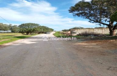 a vendre situé a jinen ennacer sur la route principale.