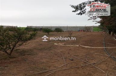 Terrain agricole Agrumia à vendre à Mjez El Beb