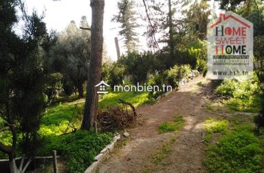 Terrain Villa Tanit à Vendre à Carthage