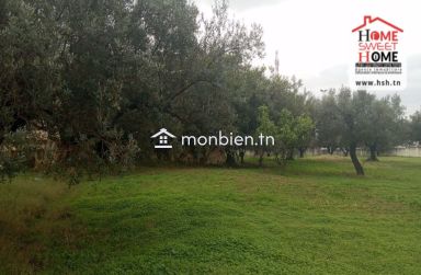 Ferme EL Baha à Vendre à Mornag