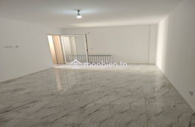un magnifique appartement S+2