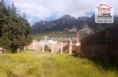 Dépôt Belha à vendre à Mornag