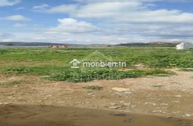 Terrain de 4000 m² à vendre à 100 MD à Hammamet Sud 51355351