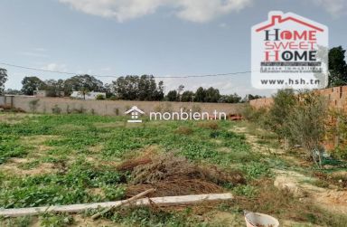 Terrain Tersio À Vendre À Chotrana3