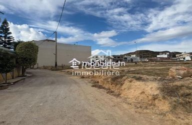 À VENDRE – Terrain Exceptionnel à Hammamet Nord / Ceinture Nabeul