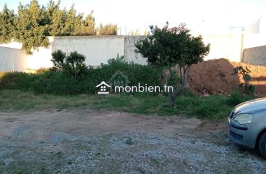 Un lot de terrain de 500 m² à Hammamet à vendre 51355351