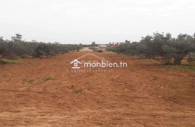 Terrain de 1000 m² à vendre à 200 MD à Hammamet Sud 51355351
