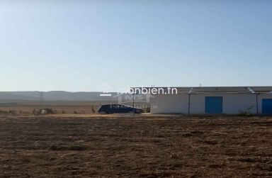 Terrain de 6.5 hectares avec une maison à vendre à Hammamet Sud 51355351