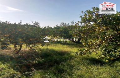 Terrain Agricole Florésia à Vendre à Menzel Bouzalfa