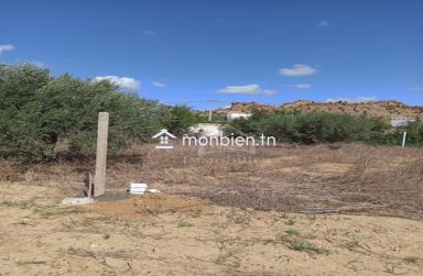 Terrain de 300 m² à Hammamet Sud à vendre 51355351