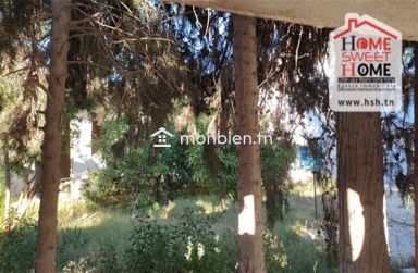 Terrain Frida À Vendre À Carthage Byrsa