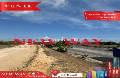Terrain Agricole à Sidi Bouali près de l'autoroute et GP1