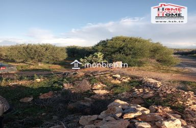 Terrain Agricole Erraja à Vendre à Zaghouan