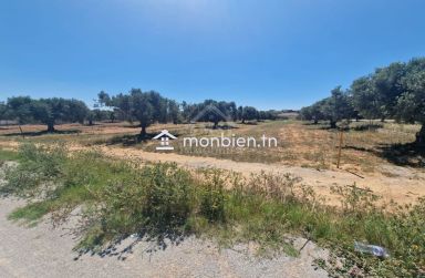 Terrain de 4000 m² à vendre à 100 MD à Hammamet Sud 51355351