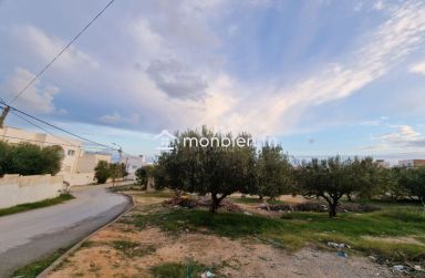 Terrain vue de mer de 1122 m² à vendre à Hammamet Nord 51355351