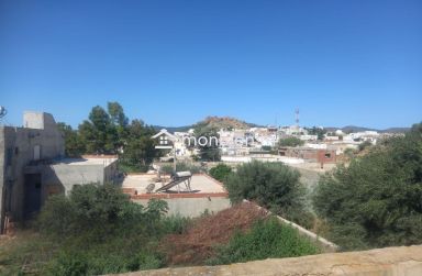 Maison S+2 avec un terrain à vendre à Hammamet Sud 51355351