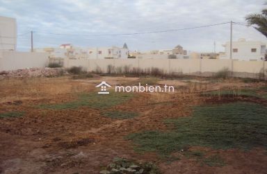 Terrain de 1430 m² Route EL AIN km 2