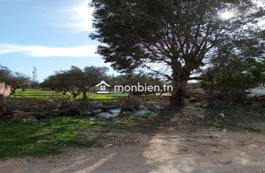 a vendre situé a jinen ennacer sur la route principale.