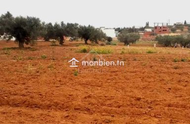 Terrain de 1000 m² à vendre à 200 MD à Hammamet Sud 51355351